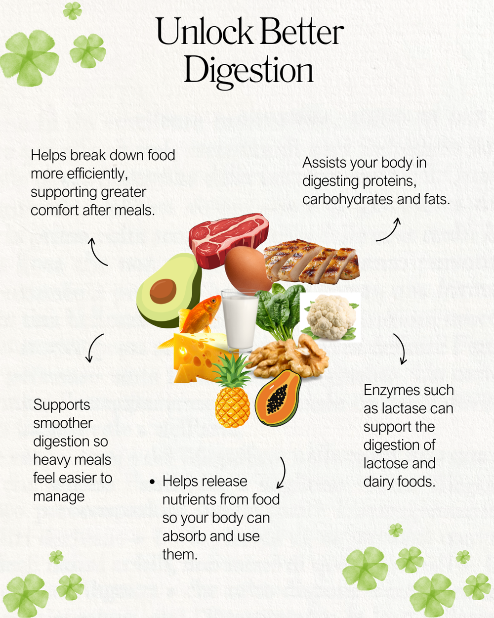 DigeEase™ – Complete Digestive Enzyme Support
