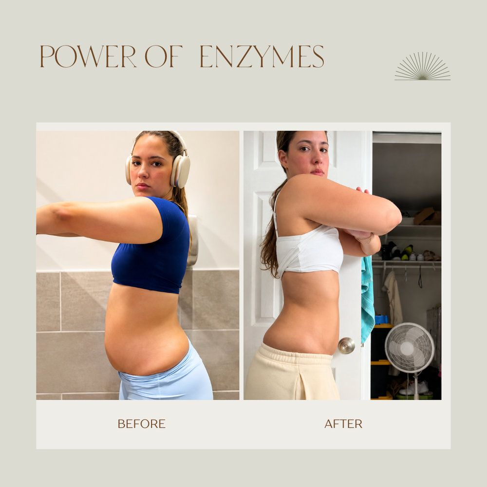 DigeEase™ – Complete Digestive Enzyme Support